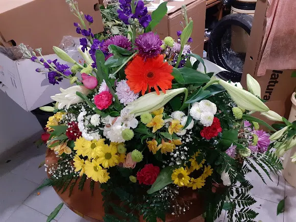 Floristería El Castillo - Fregenal de la Sierra