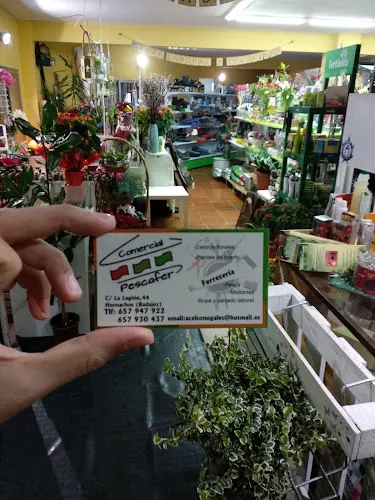 Comercial Pescafer - Hornachos