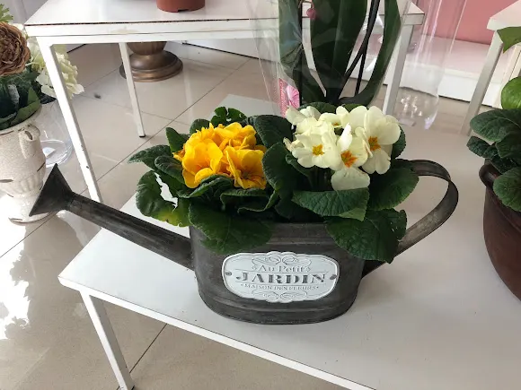 Floristería Anavic - Fuente de Cantos