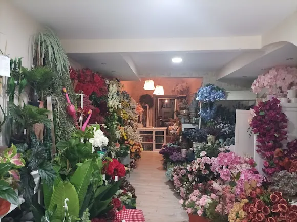 Floristería Vimara - San Vicente de Alcantara