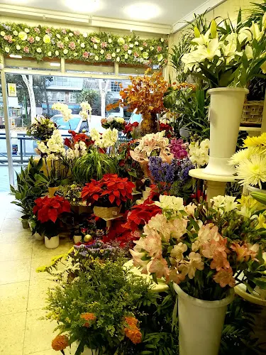 Floristería Jacaranda