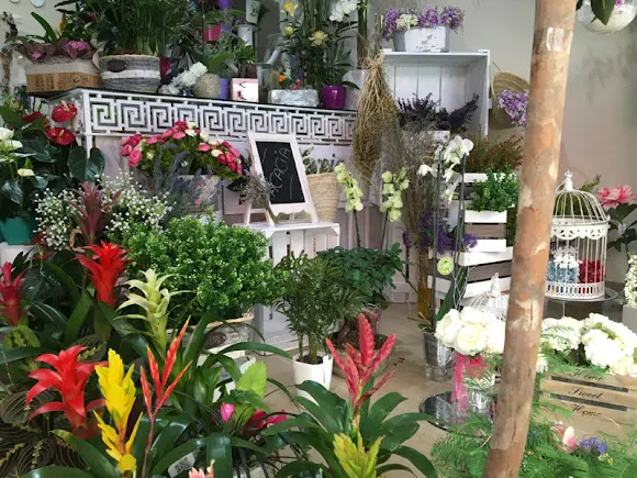 Floristería Acacia Mérida - Florista Maribel - Mérida