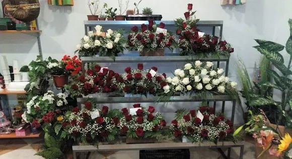 Floristería Jazmín - Fuente de Cantos