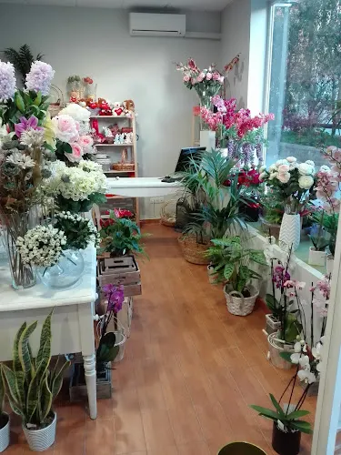 Floristería Cedro - Badajoz