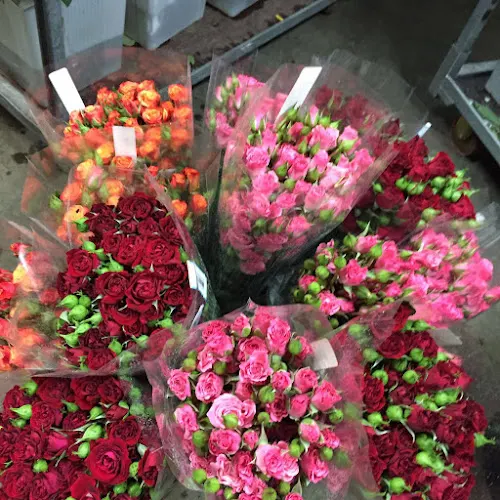 Floristería la Orquídea - Badajoz