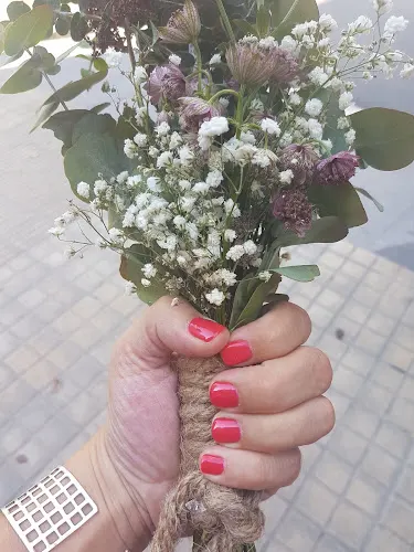 Floristeria El Lledoner - L'Hospitalet de Llobregat