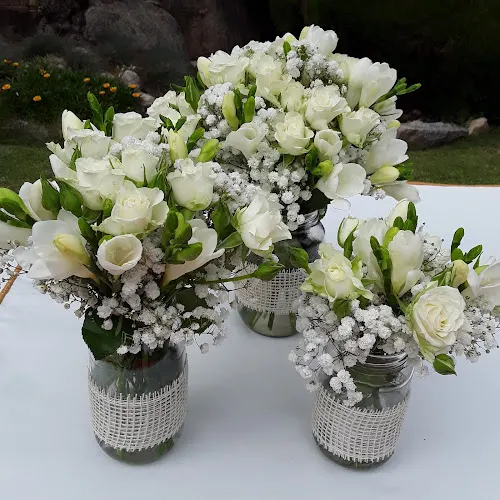 Floristeria Fl Jardí Flor G - Premia de Dalt