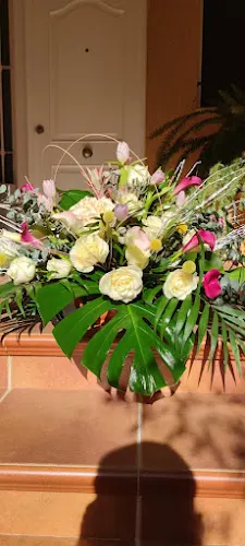 Floristería Amparo
