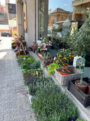 Mery 100% Floristería y Decoración - Gironella
