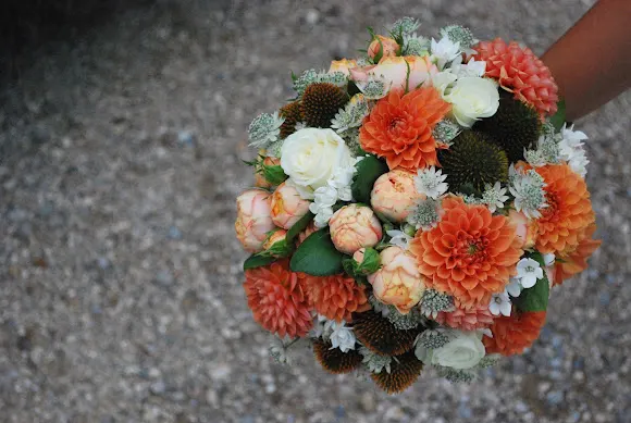 Floristeria Valles - Suria