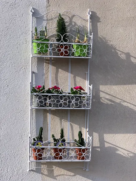 Calluna Floristería - L'Hospitalet de Llobregat