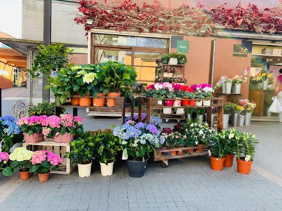 Floristeria Blooms - L'Hospitalet de Llobregat