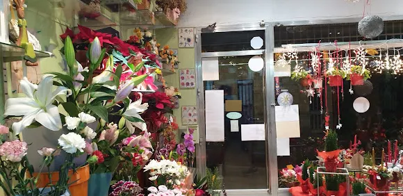 Floristeria Sala - L'Hospitalet de Llobregat