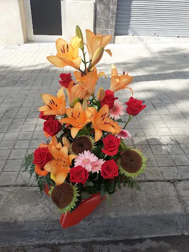 FLORS SENKA - L'Hospitalet de Llobregat