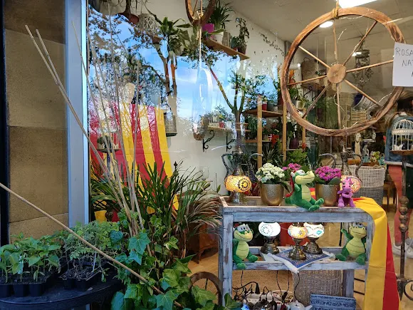 El Jardinet De Les Fades