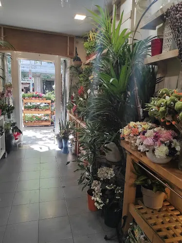 Floristeria Bambú