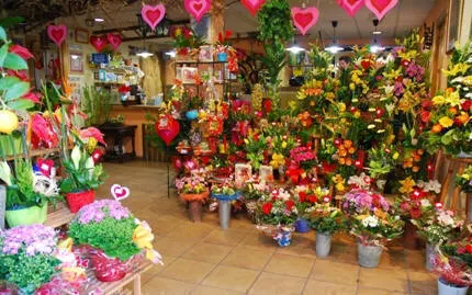 Jardí Flors - L'Hospitalet de Llobregat