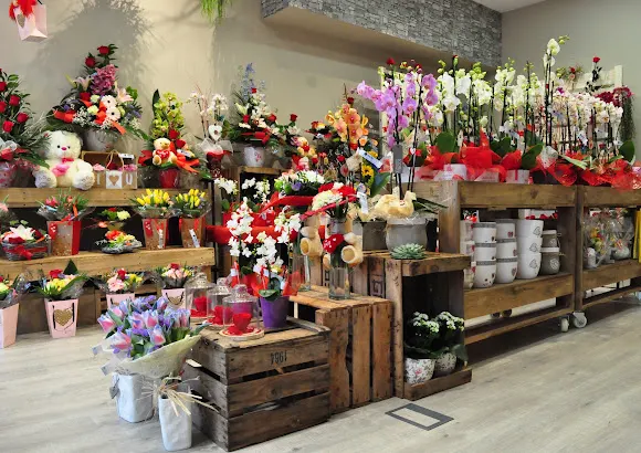 Floristería Cari - L'Hospitalet de Llobregat