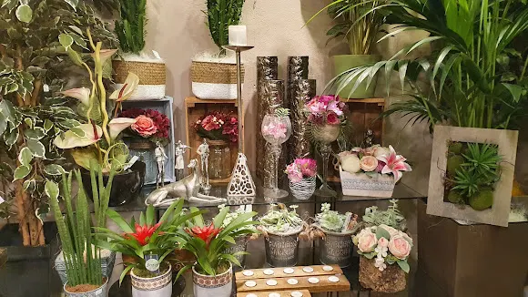 Floristeria zinnia - Igualada