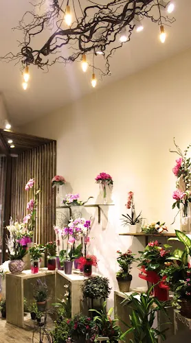 Sarai Floristerías - L'Hospitalet de Llobregat