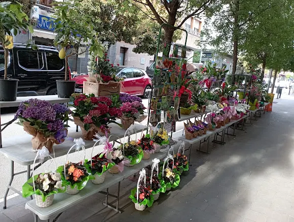 Floristeria La Miranda (Cornellà de Llobregat) - L'Hospitalet de Llobregat