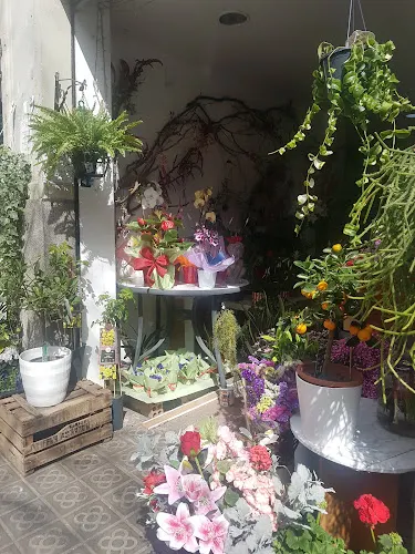 Floristeria El racó de la Rosa