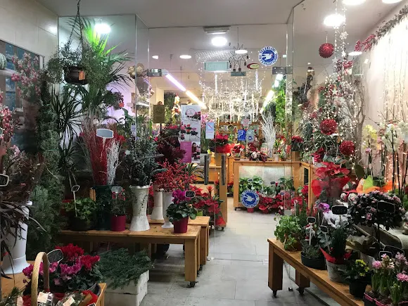 FLORISTERIA CALIZ - L'Hospitalet de Llobregat