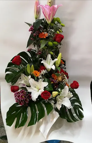 Flores Monarian SL
