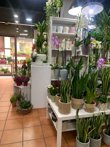 Floristería Durán - Castellar del Valles