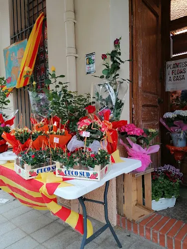 Floristeria Plaça Sant Ramon - L'Hospitalet de Llobregat