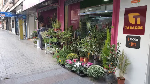 Floristería Leyva
