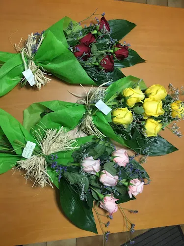 Flors I Violes - Igualada