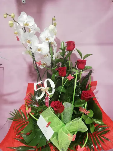 Flors Anthurium - Manlleu