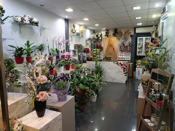 Floristería Vilaflors - L'Hospitalet de Llobregat