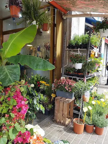 Flors Carmen