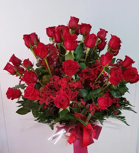 Flors mas lluhi - L'Hospitalet de Llobregat
