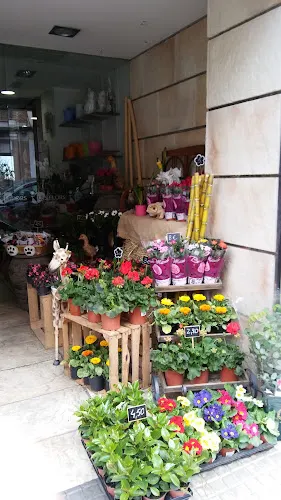 El Teix Floristes - Puig-reig