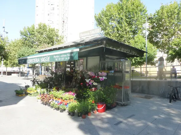 FLORISTERÍA YAGÜE (PLAZA) - L'Hospitalet de Llobregat