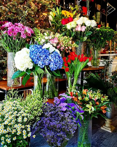 Floristeria Nacho Flores - Abrera