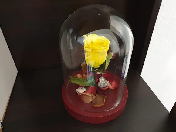 Floristería JD Roses - L'Hospitalet de Llobregat
