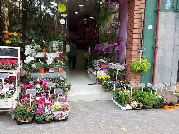 Flors Eugènia Art floral