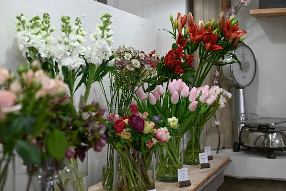 NIKITA STUDIO FLORAL - L'Hospitalet de Llobregat
