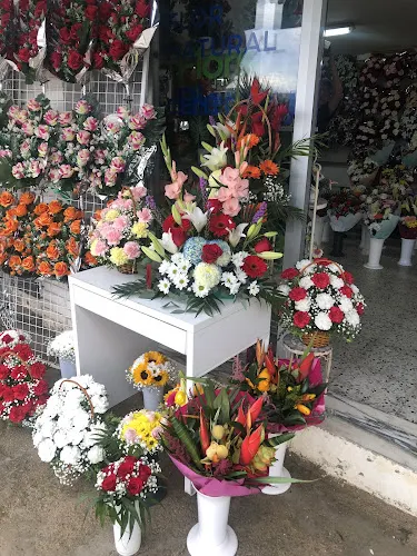 Floristería Riera y Moyano - Montcada i Reixac