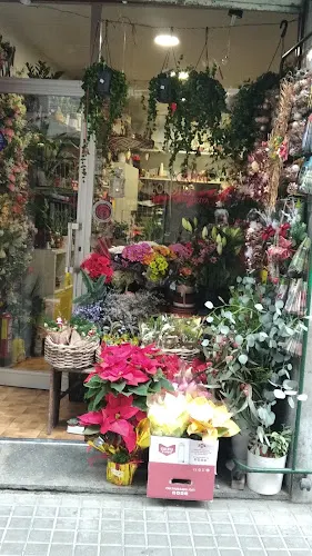 Floristeria Agarimo Barcelona - Floristería en Barcelona