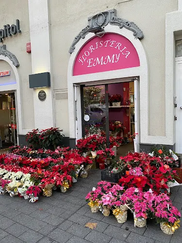 Floristeria Emmy