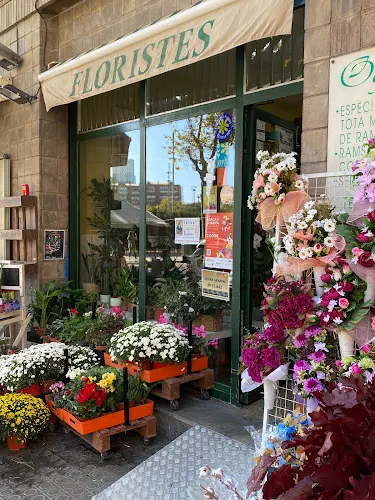 Floristeria Ogima