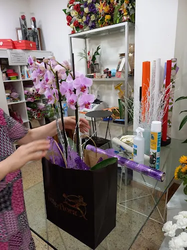 René Floristeria - L'Hospitalet de Llobregat