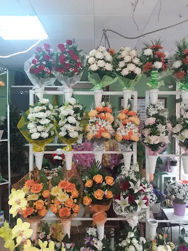 Floristeria Roser - L'Hospitalet de Llobregat