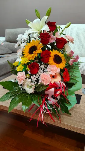 Floristeria Begonia - L'Hospitalet de Llobregat