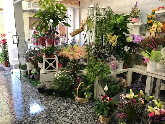 Floristería BlancaFlors - L'Hospitalet de Llobregat